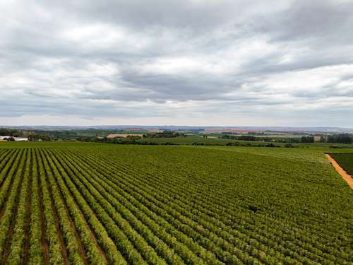 Galeria Transagro