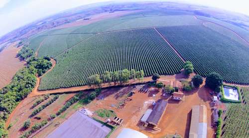 Galeria Transagro