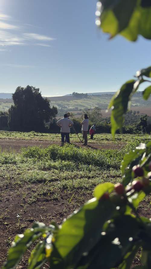 Galeria Transagro