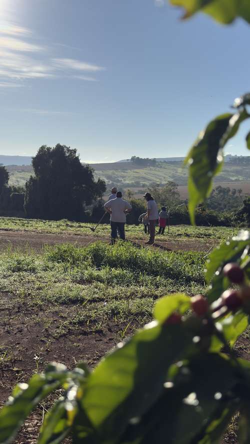 Galeria Transagro