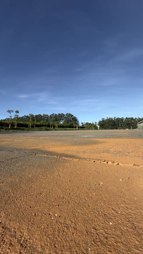 Galeria Transagro