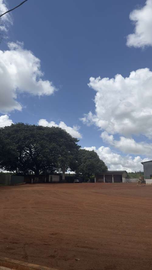 Galeria Transagro